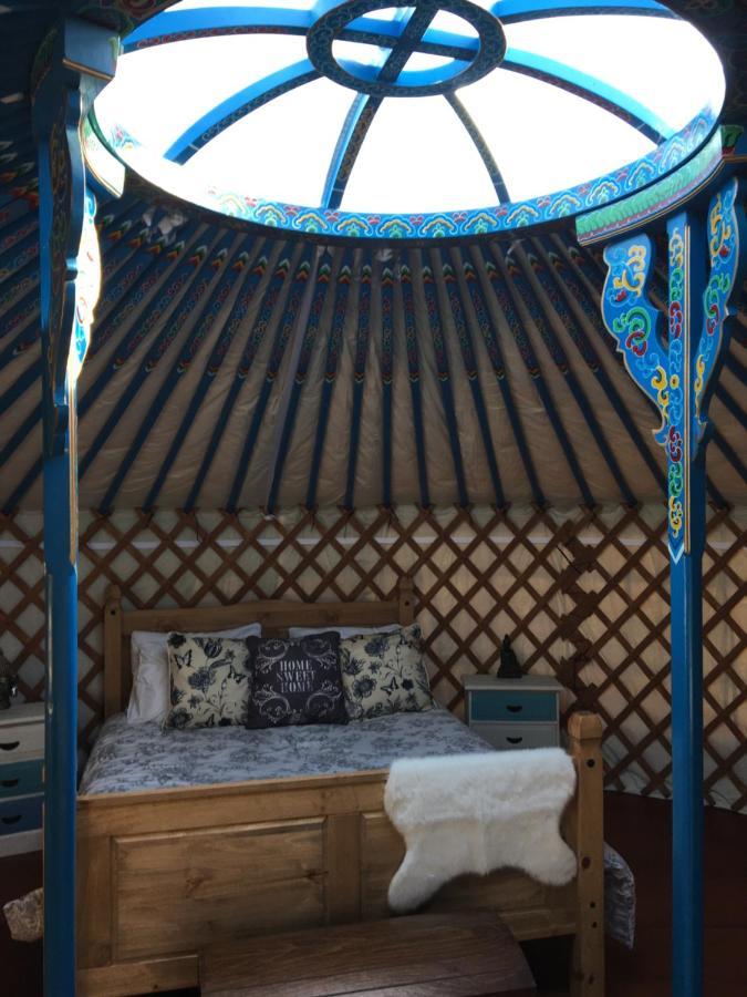 French Fields Luxury Glamping Original Mongolian Yurt Hotel Le-Vieux-Cerier Exterior foto